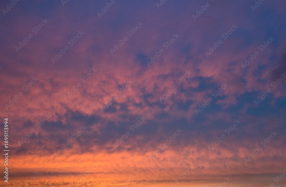 Fototapeta premium Beautiful pink clouds in the blue sky. Summer sunset (background) 