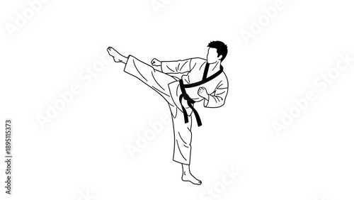 Karate martial artist performing high kick in minimalist black and white style