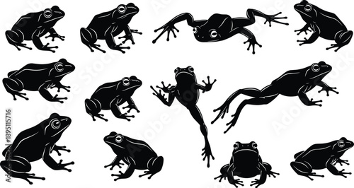 Black Frog Silhouette Collection Featuring Various Amphibian Poses Jumping Sitting and Climbing Vector Illustration Set for Nature Wildlife and Graphic Design