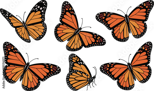 A vibrant collection of monarch butterflies with striking orange wings gracefully displayed against a clean white backdrop