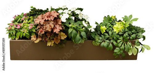 Billede på lærred A rectangular planter filled with various plants and flowers is placed on a transparent background