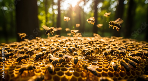 Cinematic close-up of honeybees swarming over a raw honeycomb in a forest, warm golden tones, shallow depth of field, dramatic lighting, detailed wings and textures, organic and natural composition, 8