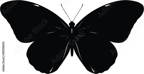 Black butterfly silhouette with spread wings and detailed antennae for nature lovers and decorative wildlife designs