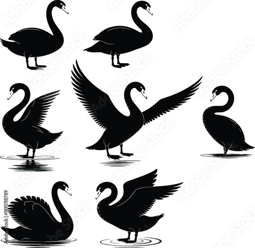 Black swan silhouette collection, elegant bird vector art, flying and swimming swan clipart, graceful waterfowl design, isolated on white