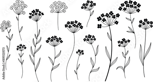 black and white flowers