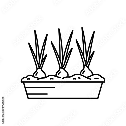 black and white icon of green onion growing in garden bed simple line art vegetable gardening illustration minimalistic design agriculture concept fresh produce
