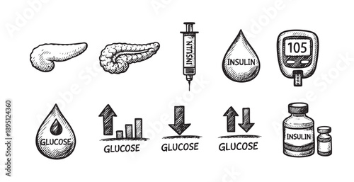 A set of hand-drawn icons illustrating diabetes management, including the pancreas, insulin syringe, glucose monitor, insulin vials, and charts.