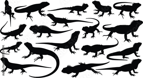 Silhouette collection of lizards and iguanas in various crawling poses, reptile wildlife animal illustration isolated on white background nature concept
