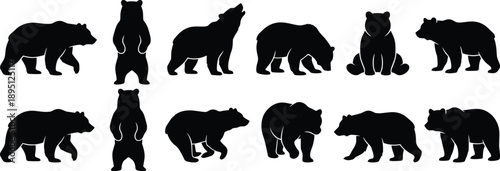 Bear silhouette vector set featuring walking, standing, sitting, howling poses, black wildlife outlines, animal icons for nature, forest, and educational design projects