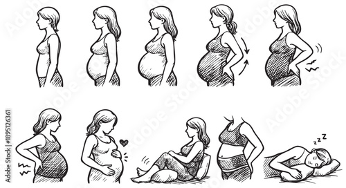 Hand-drawn illustration showing the progression of pregnancy stages in a woman, from conception to late term with related discomforts and resting, in a black and white sketch style.
