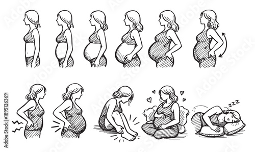 Hand-drawn illustration showing the progression of pregnancy stages in a woman, from conception to late term with related discomforts and resting, in a black and white sketch style.