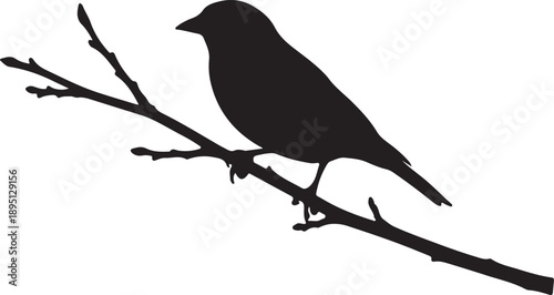 Goldfinch on mini branch branch on white background.