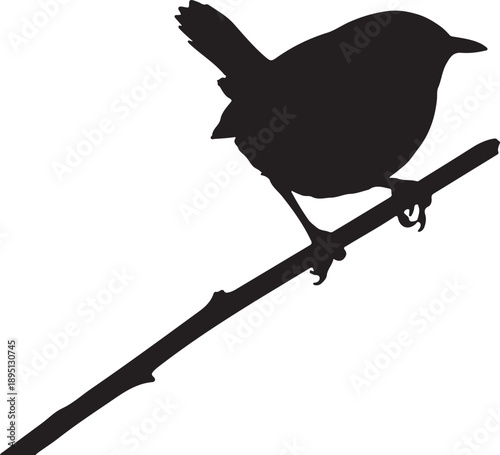 Foto Marsh Wren on mini branch branch on white background.