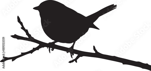Tree Accentor on mini branch on in silhouette white background.