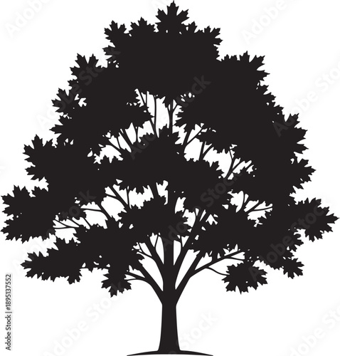 Large maple tree silhouette with dense organic foliage and sturdy trunk ideal for summer landscape designs environmental conservation projects and natural park branding on white background