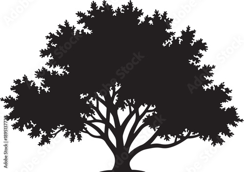 Black and white vector silhouette of a spreading oak tree featuring a wide leafy canopy and thick trunk with multiple branches isolated on a plain white background