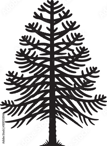 Minimalist black and white monkey puzzle tree silhouette featuring unique geometric branches and a tall trunk perfect for exotic landscape graphic design or ornamental garden branding