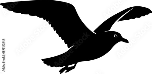 Flying Seagull silhouette vector illustration