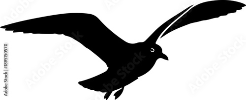 Flying Seagull silhouette vector illustration