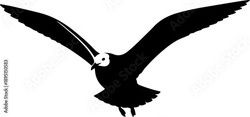 Flying Seagull silhouette vector illustration