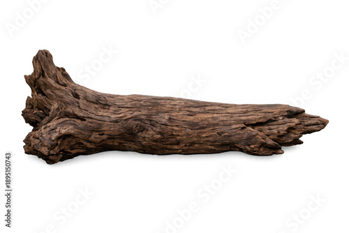 Gnarled driftwood log on transparent background showing weathered wood texture and natural form