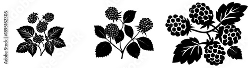 Whimsical Grapes: An Elegant Tribute to Nature's Bounty