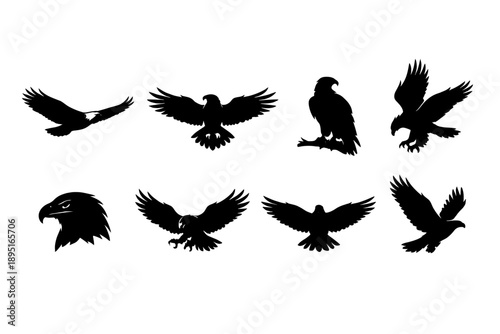 Birds of Prey Icon Set. Featuring eagle, hawk, falcon, vulture, wings, flight, predator, nature, wildlife, and more.