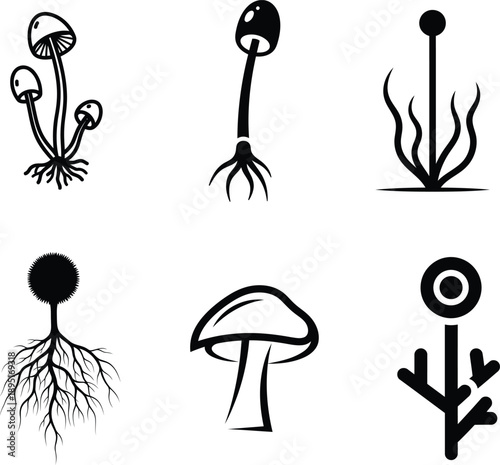 black and white illustrations of various fungi and plants