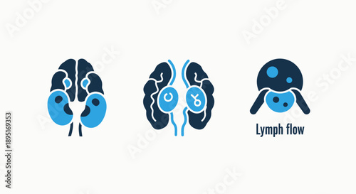Medical icons depicting brain lobes, lymph flow, and glands, representing neuroscience, circulation, and anatomy.