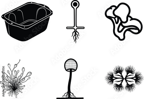 black and white illustrations of various objects and plants