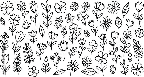 A collection of various flowers and leaves in a simple line drawing style