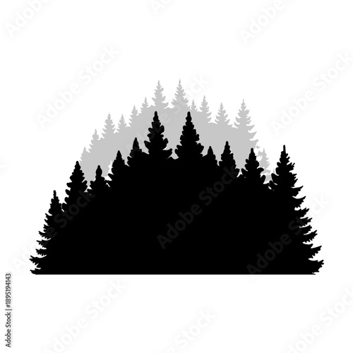 Pine trees black vector silhouettes.