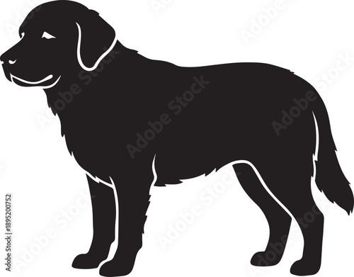 Surprised dog standing, wide eyes