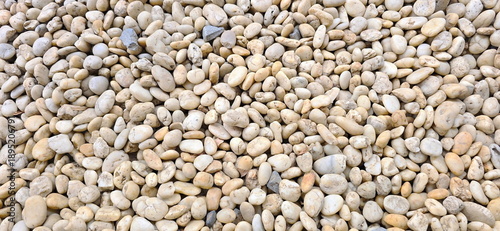 Pea gravel: Small, rounded stones with a mix of white, cream, and beige colors. River stone or River pebble used for garden decoration, walkways, exposed aggregate surfaces, water filtration material.