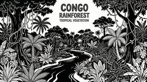 Congo rainforest landscape featuring thick jungle vegetation, broadleaf trees, vines, and diverse African tropical plant species monochrome vector illustration