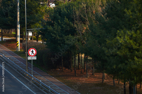 Road Scene in Korea With Pedestrian Restriction Sign and Forest