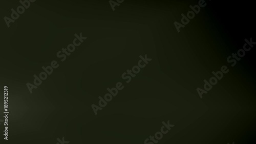 Wallpaper Mural Abstract floral design with a dark background, artistic and creative. Torontodigital.ca