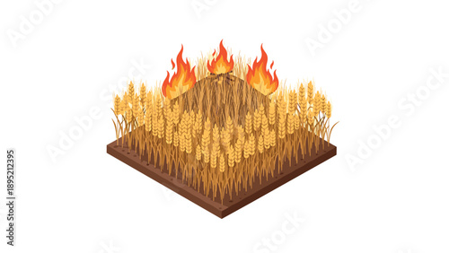 Isometric burning wheat field concept with fire in 3d design