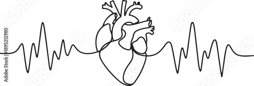 Heart continuous one line drawing. Human organ hand drawn with pulse symbol.one line vector illustration with white background