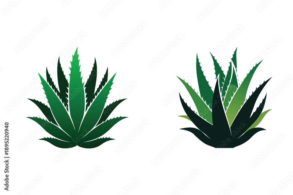 Fototapeta premium Aloe Vera Plant Silhouette Icon Vector Illustration Medicinal Succulent Plants 