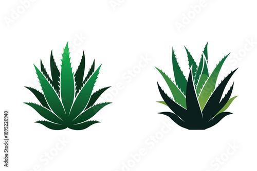 Aloe Vera Plant Silhouette Icon Vector Illustration Medicinal Succulent Plants 