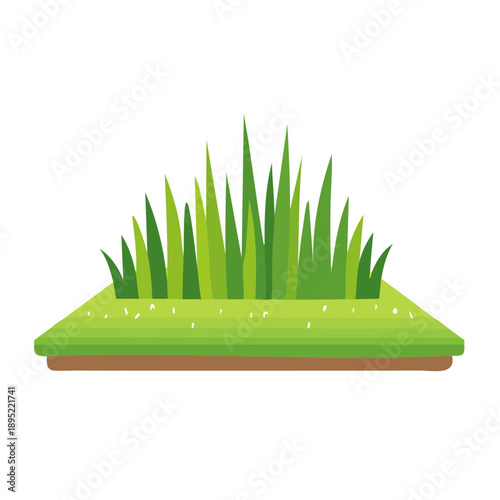 Grass and plants growing in a lush green meadow illustration