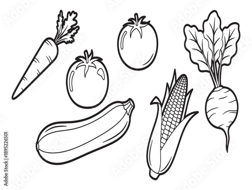 Hand drawn vegetable collection featuring carrots tomatoes zucchini corn radish and beetroot
