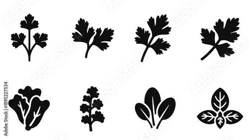 Silhouette herb and leaf icons set for culinary design inspirations
