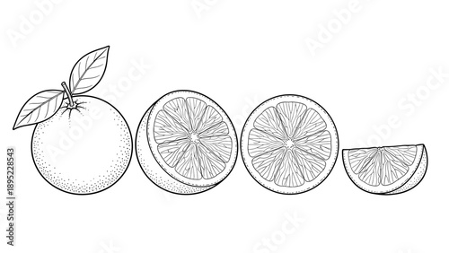 Detailed orange line art with leaves and slices in black and white