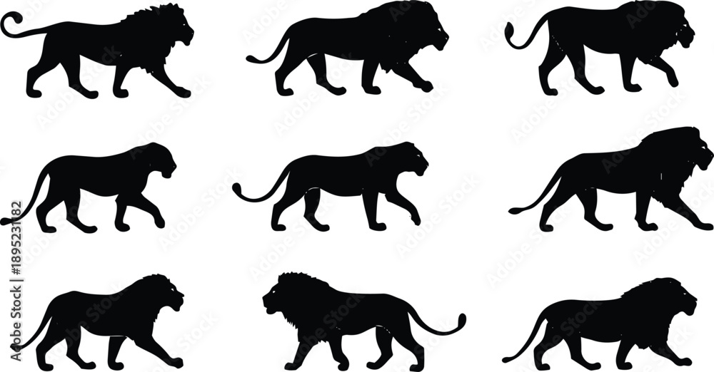 Fototapeta premium Set of nine black silhouette lions walking running roaring wildlife animal vector illustration design isolated on white background 