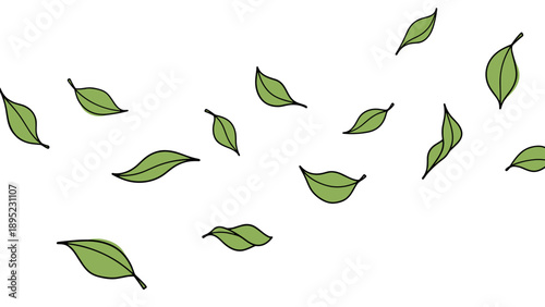 Green leaves scattered on white background