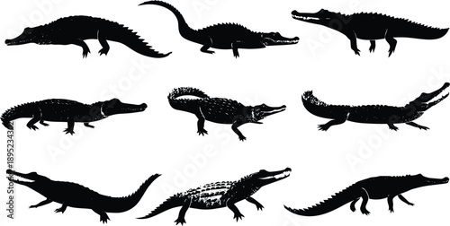 Silhouette set of diverse crocodiles in black and white vector illustration for educational and prehistoric design projects
