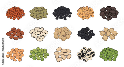 Vector graphic illustration of various pulses and nuts for World Pulses Day, showcasing healthy food options with a focus on nutrition and different types of beans and seeds.