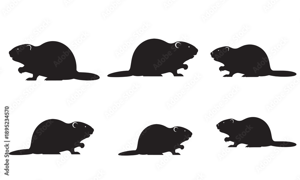 Obraz premium Six black beaver silhouettes on a white background, vector illustration